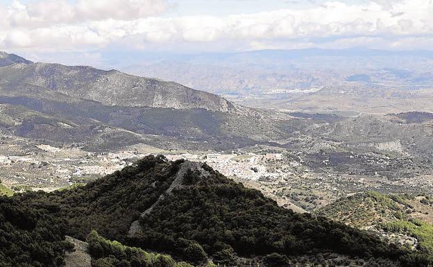 Declarado un incendio forestal en Yunquera