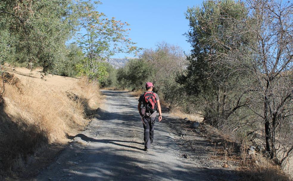 Doce rutas de senderismo para hacer en Málaga en 2021