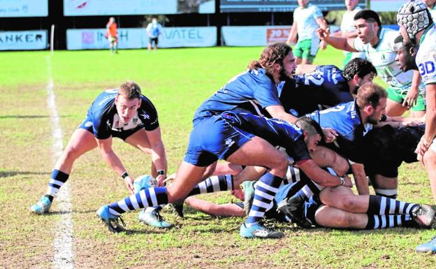 El Marbella Rugby, un club señor de la Costa