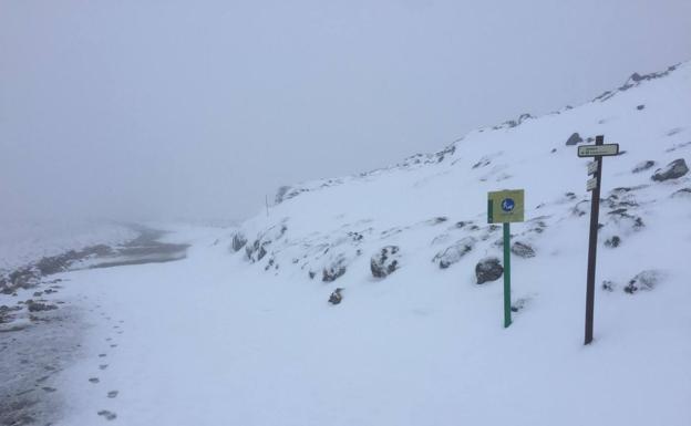 La mayor nevada en la Sierra de las Nieves se espera este domingo