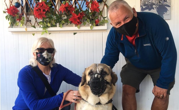 Una familia de Irlanda adopta al cachorro que apareció tirado a la basura en Málaga