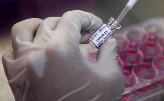 Seychelles, el primer país africano en iniciar la vacunación contra el coronavirus