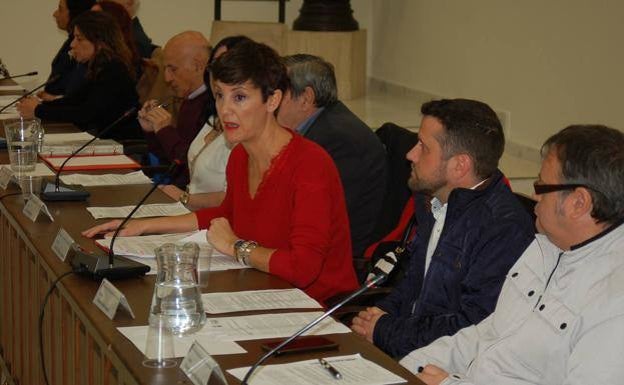 El PSOE de Estepona pide un espacio municipal que sirva de refugio mientras sigan las bajas temperaturas