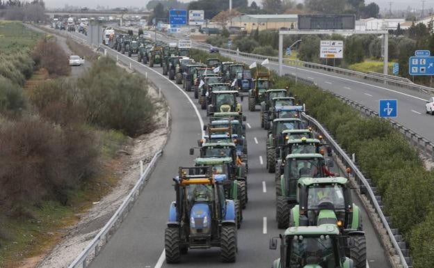 El campo malagueño retoma las protestas por los bajos precios con su adhesión a un paro nacional