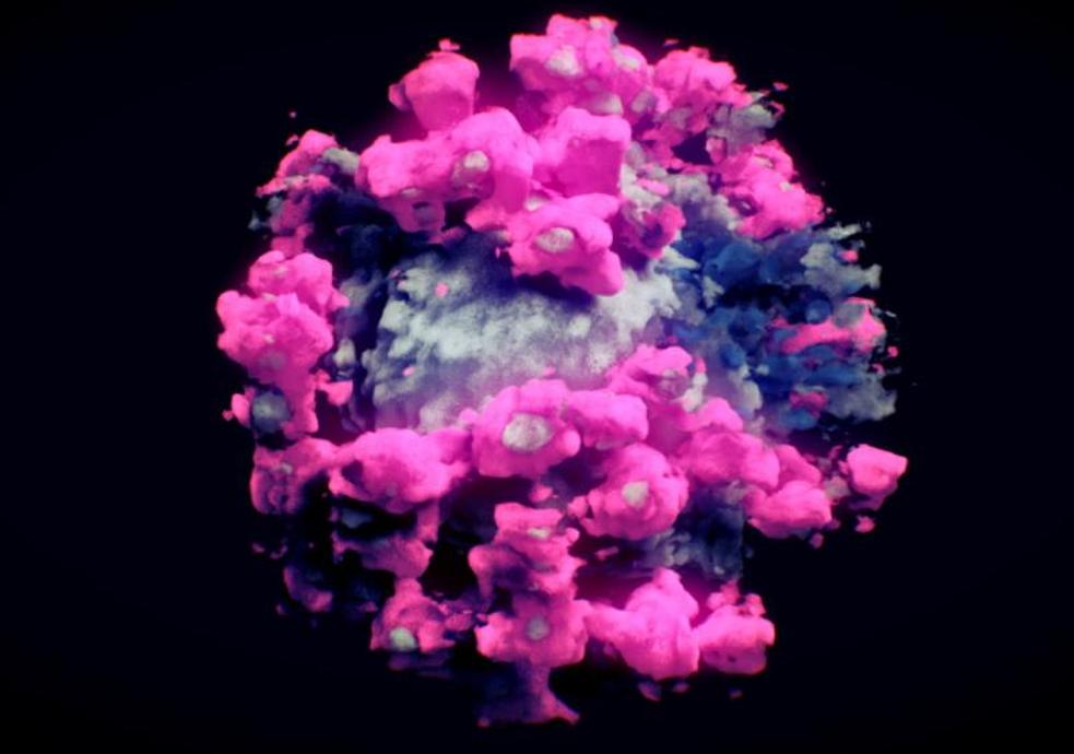 Coronavirus: primera imagen real y en 3D