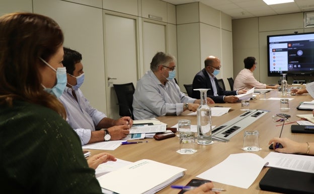 La Junta y el sector agrario andaluz rechazan el proyecto de real decreto de transición a la nueva PAC