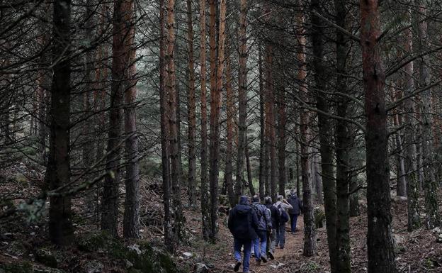 ¿Qué supondrá para los pueblos de la Sierra de las Nieves convertirse en un Parque Nacional?