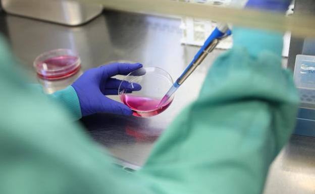 La cepa sudafricana del coronavirus ya está en España