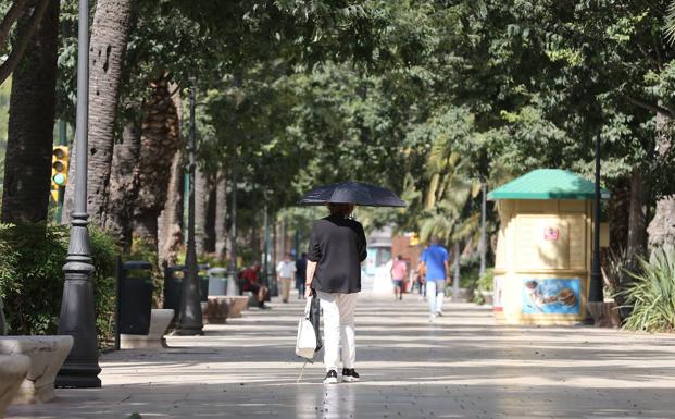 Terral de invierno en Málaga, que llegará a los 28 grados este viernes