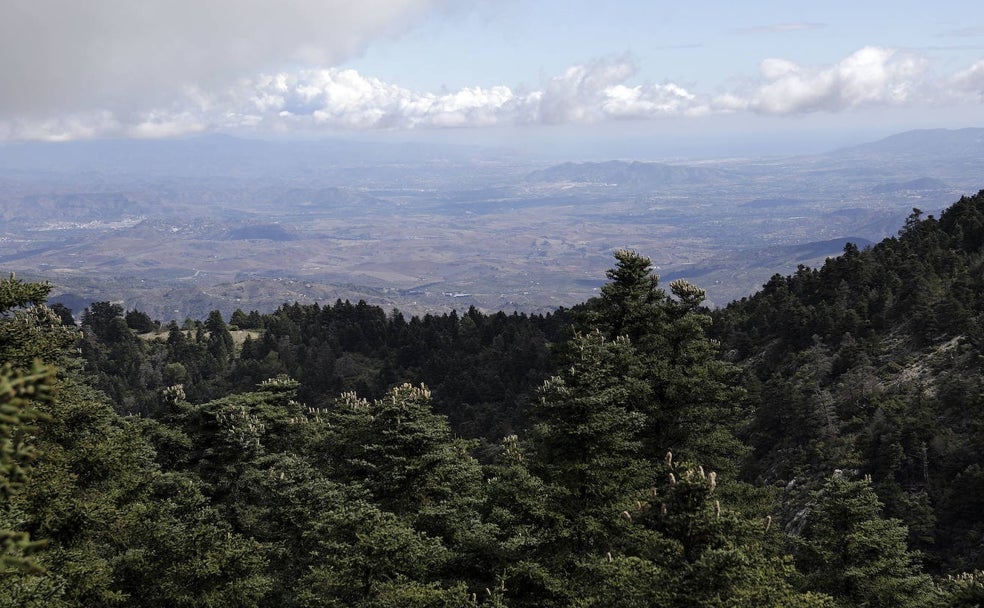 La Sierra de las Nieves, en el club de los parques nacionales