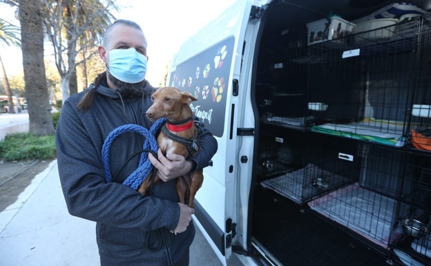 Una segunda oportunidad para los perros abandonados gracias a Guillermo Pelegero