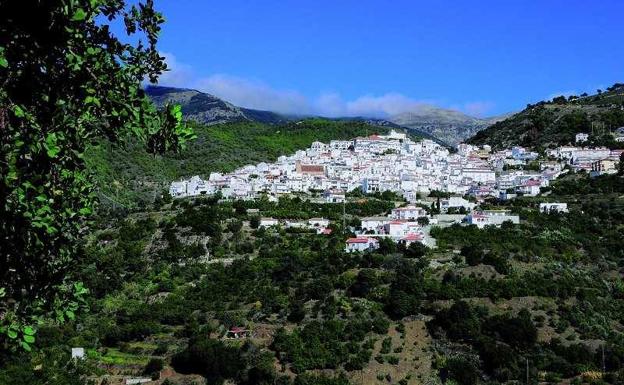 Canillas de Albaida: Tasa de incidencia de contagios