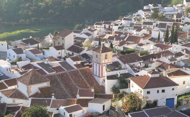 Gaucín: Tasa de incidencia de contagios