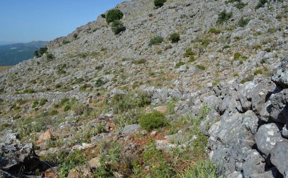 El muro de los franceses: Así intentaron en Alpandeire parar al ejército de Napoleón