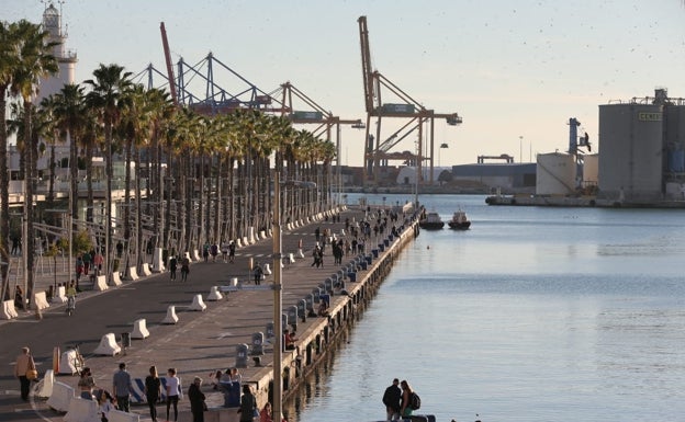 El Puerto tendrá que certificar la ausencia de lapas protegidas para hacer la marina de megayates