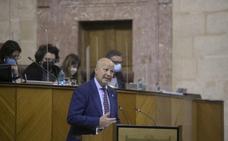 El Parlamento de Andalucía da luz verde a la adaptación del decreto de escolarización a la 'ley Celaá' manteniendo sus principios