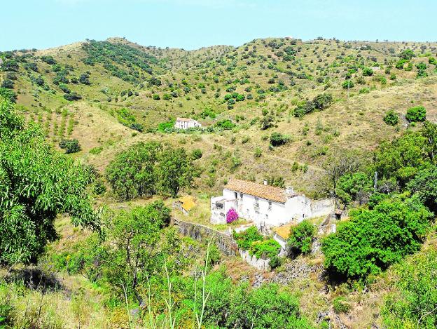 El proyecto que recupera fincas abandonadas en Málaga
