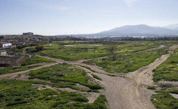 El Ayuntamiento de Málaga prevé aprobar el lunes el proyecto para más de mil viviendas en los suelos de Amoniaco