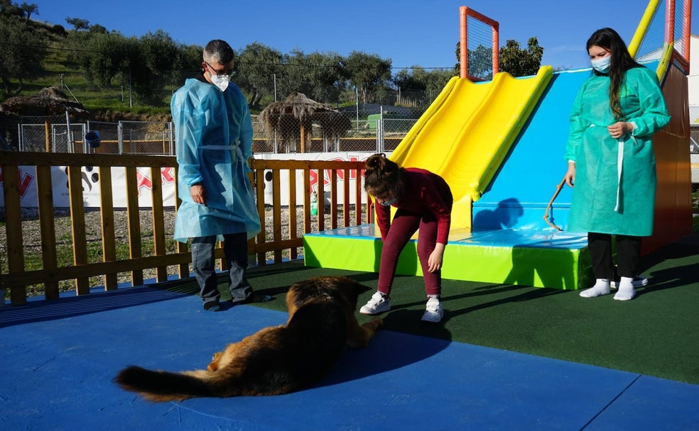 Terapias lúdicas con amigos caninos en Coín