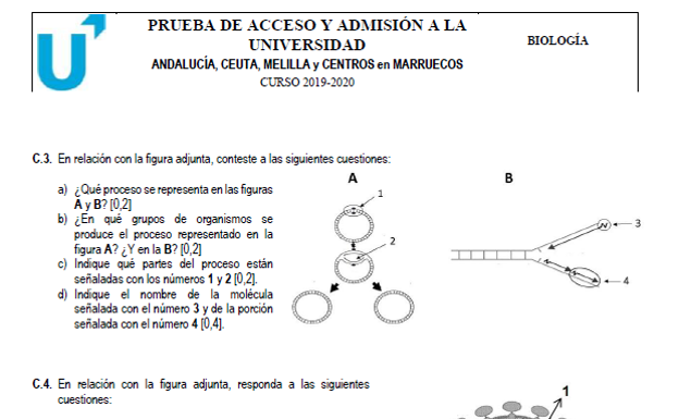 Los estudiantes ya pueden consultar los modelos de examen y las directrices de la selectividad