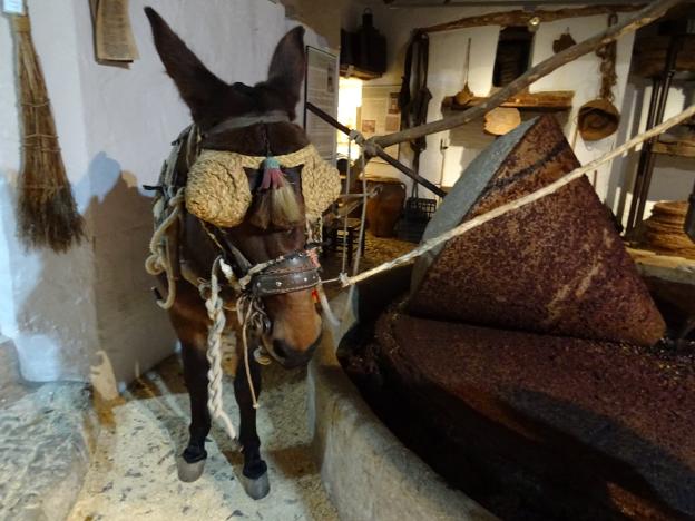 La Molienda de Riogordo cumple diez años con una edición 'on line'