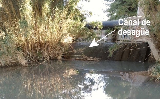 Ecologistas denuncian el uso del río de Vélez «como cloaca» ante la Delegación de Medio Ambiente