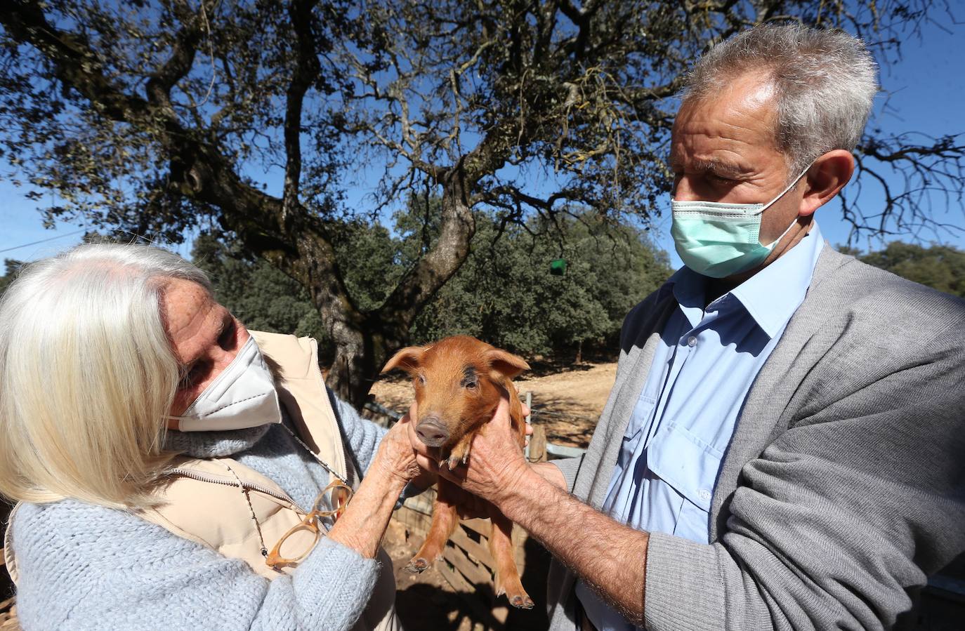 El sueño ibérico en la Serranía de Ronda