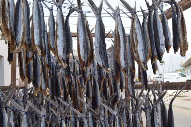 Conocer el producto: Salazones y pescados secos andaluces