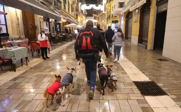 Productos y servicios para animales, un negocio en auge en Málaga