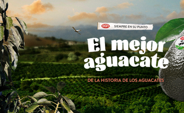 Trops lanza una campaña para impulsar el consumo de aguacate en España