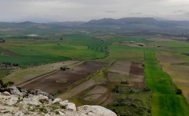 Crean una plataforma vecinal en Cañete la Real contra la instalación de una planta fotovoltaica
