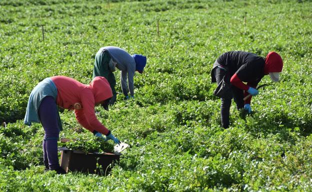 Andalucía crea una Oficina Virtual Agraria para la gestión electrónica de los servicios al mundo rural