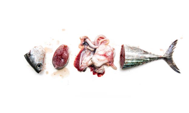 Garum, el umami destilado del mar