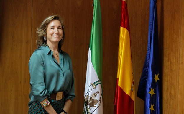 La Cámara de Cuentas de Andalucía renueva sus cargos en un pleno que el presidente saliente considera nulo