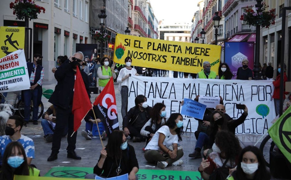 Málaga se vuelve verde: Por una ciudad más habitable