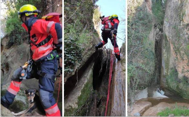 Bomberos rescatan a un perro atrapado en una cascada en Villanueva de Algaidas