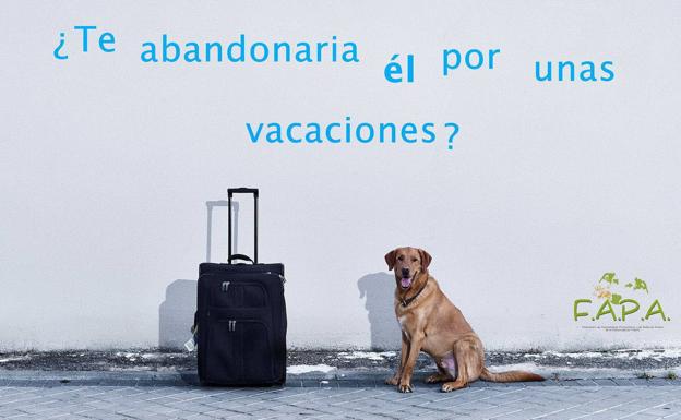 Imagen de la campaña de la Federación de las Asociaciones de Protección Animal de la Comunidad de Madrid para la sensibilización sobre el abandono de animales en verano./