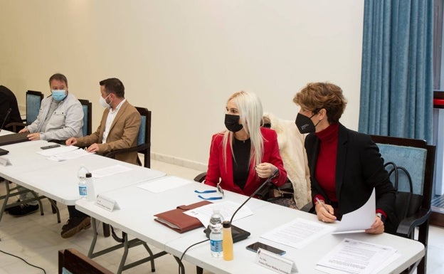 El PSOE de Estepona propone un plan de aparcamientos gratuitos