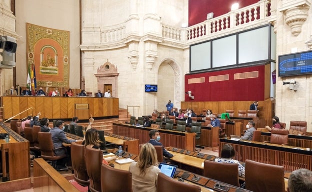 Vox vuelve a apoyar al Gobierno de la Junta en una votación clave tras el órdago por el pin parental