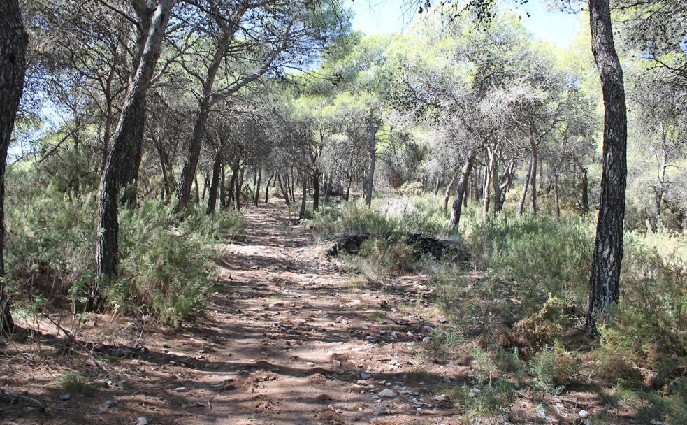 Los argumentos por los que Málaga podría contar con un nuevo parque natural: Sierra de Mijas y Alpujata