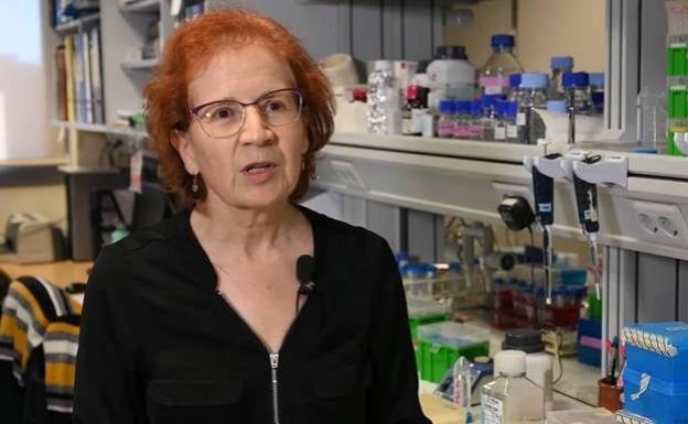 La advertencia de Margarita del Val sobre las «continuas» evaluaciones de las vacunas de la EMA