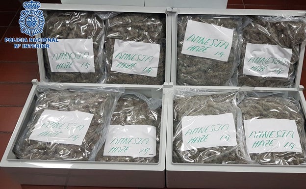 Operación Pachamama: marihuana cultivada en Fuengirola con destino Alemania