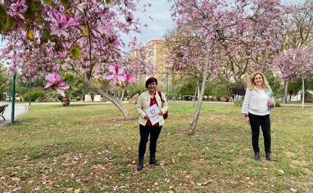 Un picnic urbano