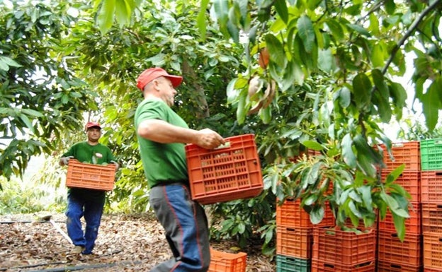 Asaja considera «insuficiente» la rebaja del IRPF para los agricultores y ganaderos anunciada en el BOE