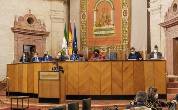 El Parlamento reforma su reglamento con gran tensión entre Adelante y Anticapitalistas