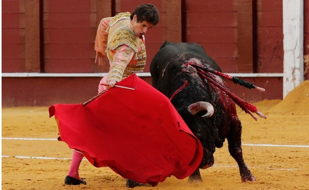 Cuatro malagueños buscarán un puesto en el Circuito de Novilladas de Andalucía
