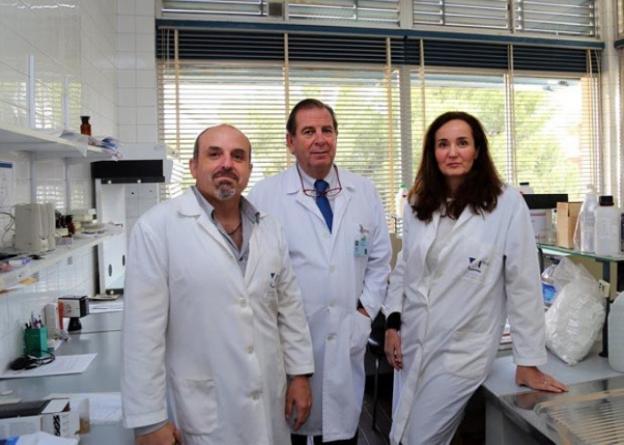 Investigadores de la UMA crean una calculadora de melanina para evitar manchas de la piel