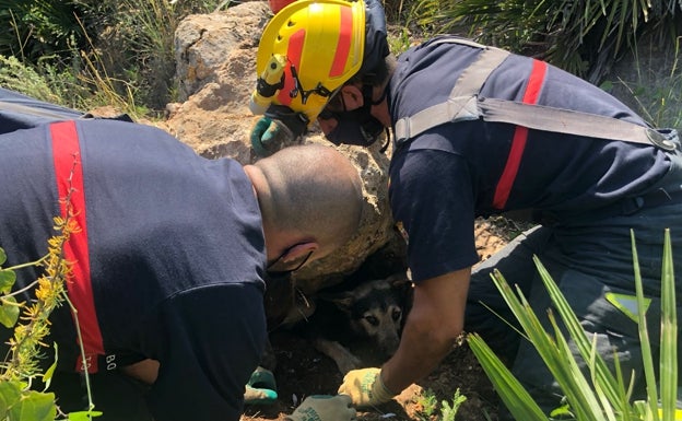 Bomberos rescatan a un perro que llevaba un día atascado en un agujero en Puerto de la Torre