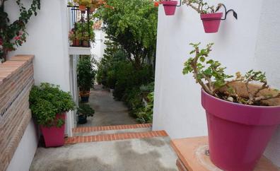 Quince pueblos de Málaga para disfrutar del mes de las flores