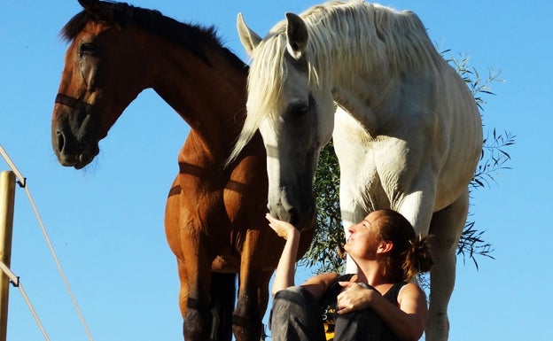 La protectora 'Todos los caballos del mundo' pide ayuda ciudadana